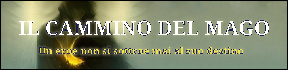 Banner libro il cammino del mago