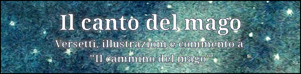 Banner libro il canto del mago